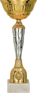 Tani Puchar Metalowy Złoto-Srebrny 9256 - Sportowe Trofeum z Personalizacją