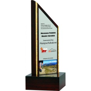 Wyjątkowe Trofeum Drewniane Premium z Indywidualnym Grawerem Laserowym | Elegancka Nagroda Sportowa, Firmowa lub Okolicznościowa | Dostępne Różne Wymiary i Gatunki Drewna