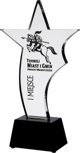 Statuetka Szklana z Grawerem i Etui – Najtańsze Ceny Hurtowe! Prestiżowa Nagroda Budżetowa.