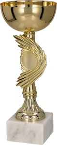 Trofeum 9031 - Unikatowy Puchar Metalowo-Plastikowy z Miejscem na Wklejkę 