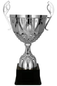 Puchar Sportowy Okazjonalny  - Grawerowany Puchar na Sportowe Sukcesy