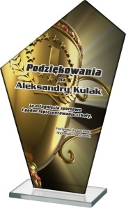 Pamiątkowe Trofeum Szklane Do Grawerowania – Uniwersalny Wyróżnik, Dostępny w Niskiej Cenie. Nagroda, Prezent, Upominek Okolicznościowy. 18 cm