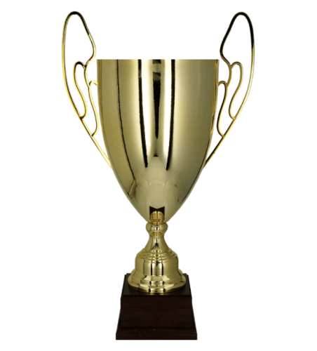 1071 (bok) - szablon.png