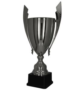 Wyróżnij sukcesy! Wybierz Prestiżowy Puchar Biznesowy lub Okazjonalny Puchar na jubileusz, galę i nagrody firmowe. Najwyższa jakość, personalizacja