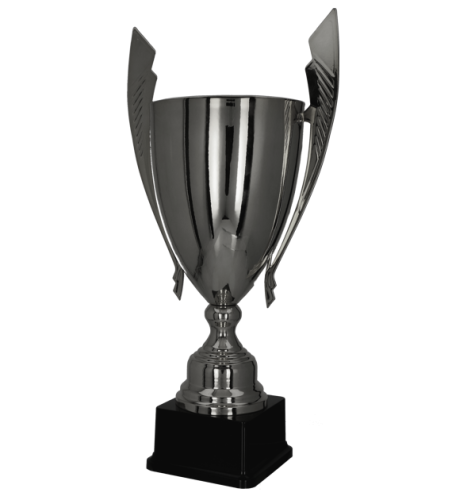 1071 (bok) - szablon.png