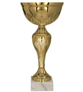 Złoty Puchar Biznesowy: Eleganckie Trofeum na Nagrody Sportowe i Firmowe – Symbol Prestiżu!
