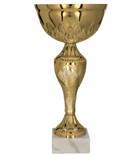 8366 (przód) - szablon.png