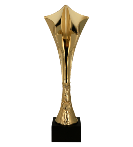 8366 (przód) - szablon.png