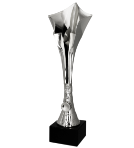 Puchar srebrny sportowy 8370/S Puchar na zamówienie