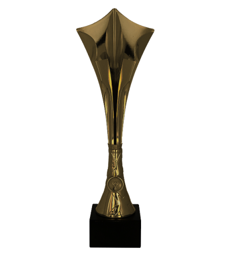 8366 (przód) - szablon.png