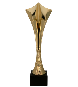 Złoty Puchar Sportowy: Eleganckie Puchary Sportowe w Warszawie z Grawerem