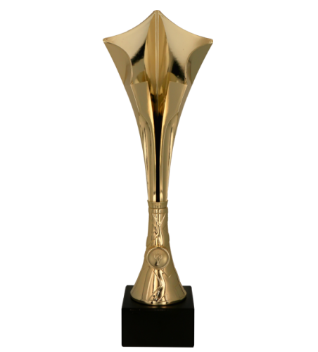 8366 (przód) - szablon.png