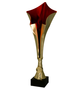 Złoto-Czerwony Puchar Sportowy: Atrakcyjna Nagroda Sportowa – Symbol Pasji i Triumfu