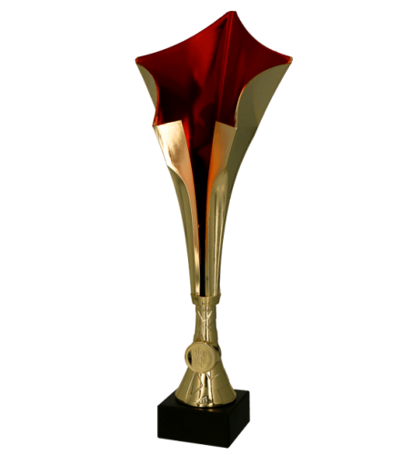 8366 (przód) - szablon.png