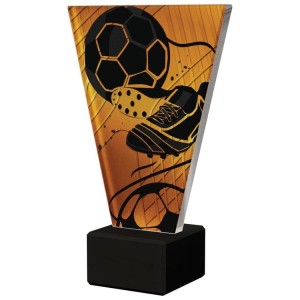 VL1/SOC3 Rozmiar D - 15 cm, wyróżnienie, naroda dla zawodnika