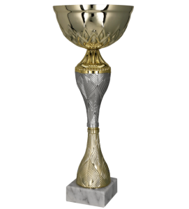 Puchar sportowy złoto-srebrny 9266 Puchar z grawerem