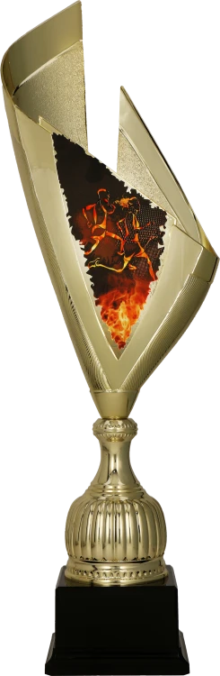 4232_RUN (1).png