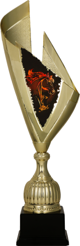 4232_HOR (1).png