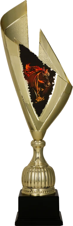 4232_HOR (1).png