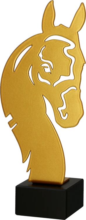 ML-HOR (2).png