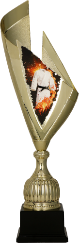 4232_KAR (1).png