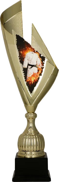 4232_KAR (1).png