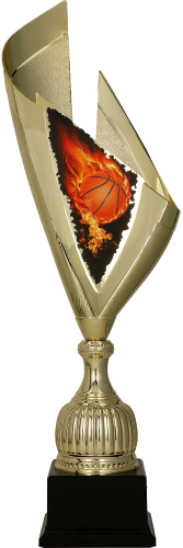 4232_BAS (1).png