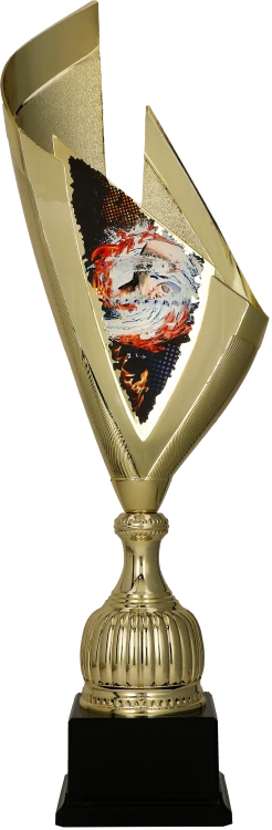 4232_SWI (1).png