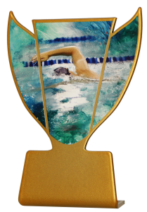 Pływanie: Tanie Statuetki  - Zwycięzca | PucharySklep.PL
