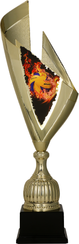 4232_VOL (1).png