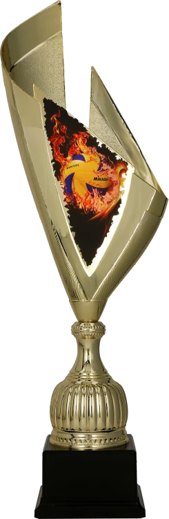 4232_VOL (1).png