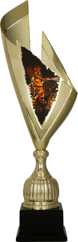 4232_FIR (1).png
