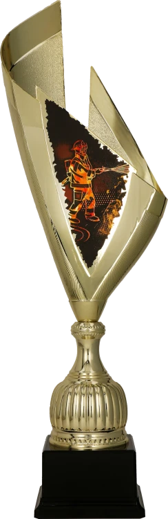 4232_FIR (1).png