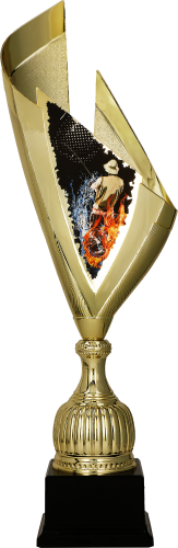 4232_FIS3 (1).png