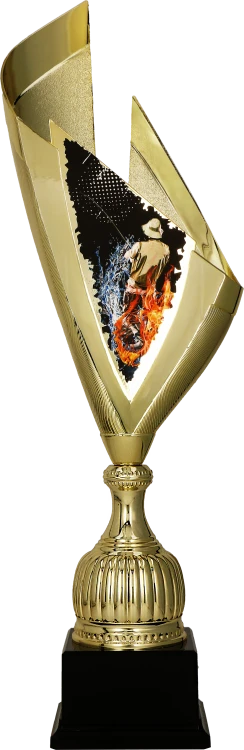 4232_FIS3 (1).png
