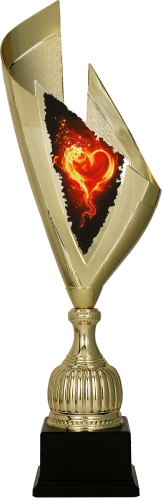 4232_HEA (1).png