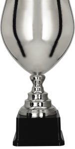 Wybierz Ekskluzywny Puchar Metalowy Srebrny. To Prestiżowe Trofeum to symbol klasy i sukcesu. Idealny na gale i wyróżnienia. Spersonalizuj grawer!