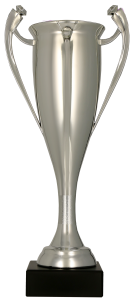 Puchar Ogólny – srebrne trofeum na wielkie zwycięstwa i sukcesy. Uniwersalna, elegancka nagroda. Idealny wybór z personalizacją grawerem!