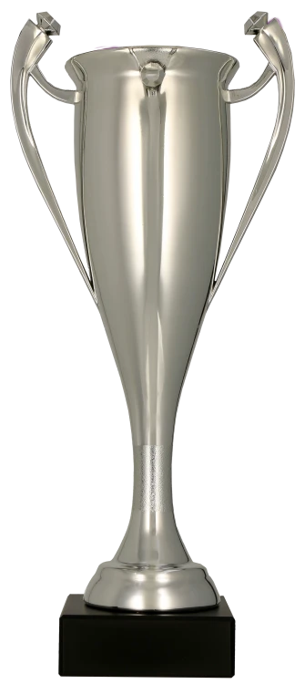 4228A-N - PNG.png