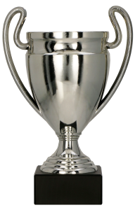 Srebrny Puchar Biznesowy 8378 - Symbol Sukcesu Twojej Firmy