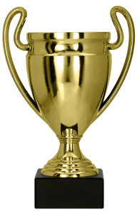 Złoty Puchar Biznesowy 8379 - Doskonała Nagroda w Przystępnej Cenie