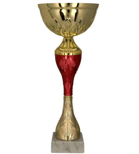 9270-przod---szablon.png