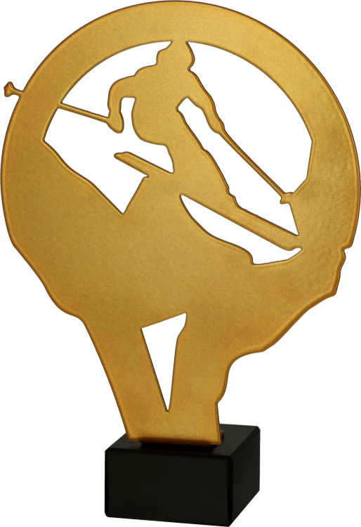 ML-SKI1.png