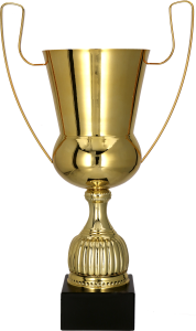 Wybierz Puchar Metalowy Premium – Złote Trofeum z Antycznymi Uszami. Luksusowy design, solidny metal. Idealny symbol zwycięstwa. Spersonalizuj grawerem!