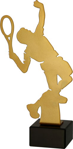 ML-TEN.png