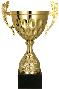 Puchar Metalowy Ogólny – insygnia sukcesu. Eleganckie trofeum biznesowe, idealne na nagrody firmowe i gale. Uniwersalny design, personalizacja grawerem.