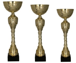 Zestaw 3 Złotych Pucharów Metalowych – Komplet Sportowy 28, 26, 23 cm